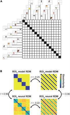 Caveats and Nuances of Model-Based and Model-Free Representational Connectivity Analysis